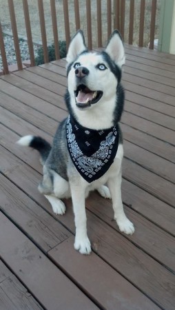 ¡¡¡¡¿Y si vamos al paque?!!