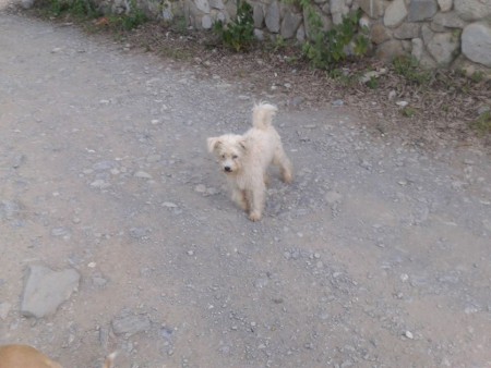 ¡Holaaa! ¿te conosco?