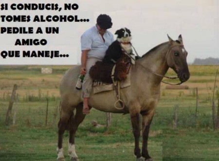 Lucho ¡soy bueno en esto!